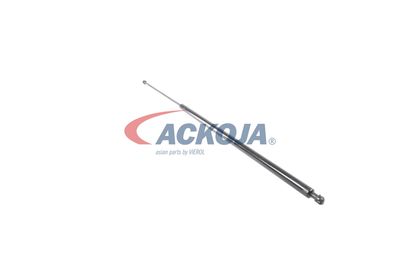 AMORTIZOR PORTBAGAJ ACKOJA A380069 45