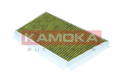 Filter, cabin air 6080065