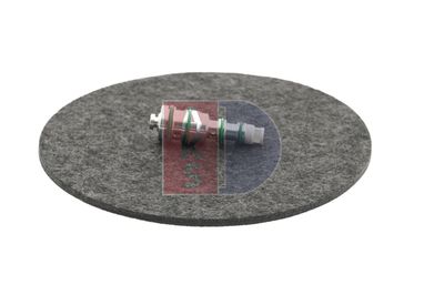 REGELVENTIL KOMPRESSOR AKS DASIS 859024N 7