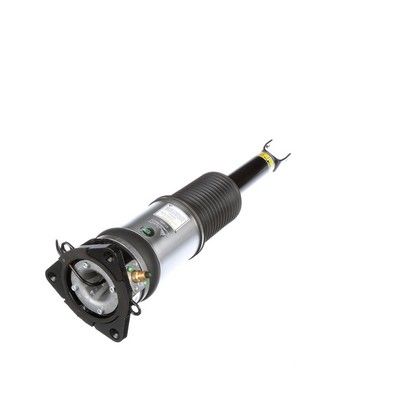 LUFTFEDERBEIN Arnott AS2959 48