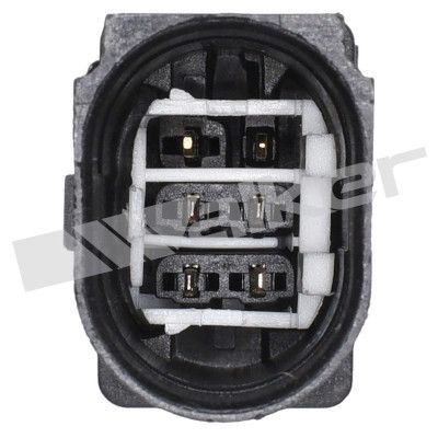 LAMBDASONDE WALKER PRODUCTS 25025151 2