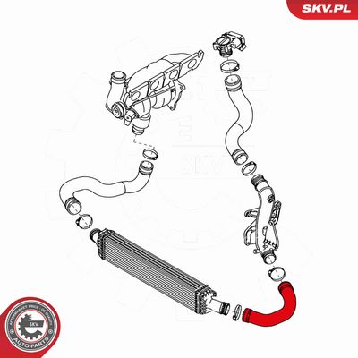 FURTUN EAR SUPRAALIMENTARE ESEN SKV 43SKV113 3