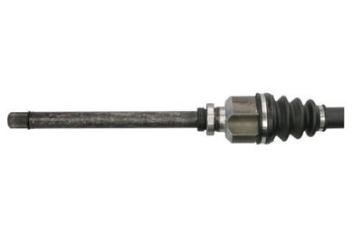 Drivaxel PASCAL G2C160PC för CITROËN