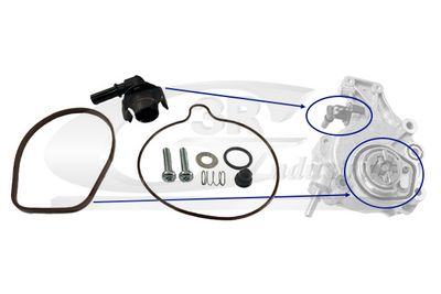 SET REPARATIE POMPA VACUUM (SISTE FRANA)