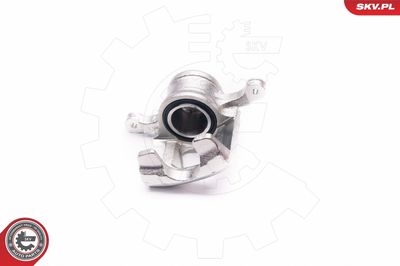 Brake Caliper 23SKV624