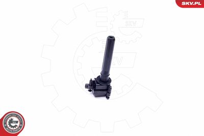 Ignition Coil 03SKV298