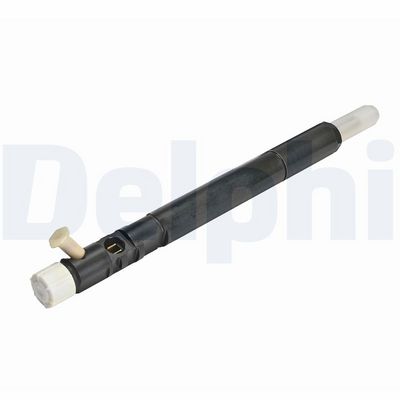Delphi Fuel Injector R04401D-12B1