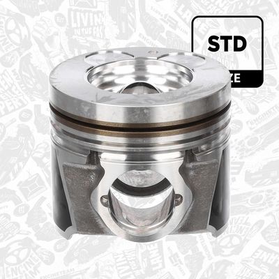 PISTON ET ENGINETEAM PM004100 1