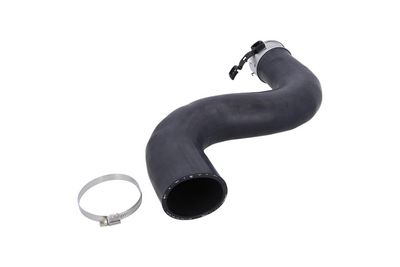 FURTUN EAR SUPRAALIMENTARE