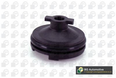 Korek spustowy oleju, miska olejowa BGA PK2307