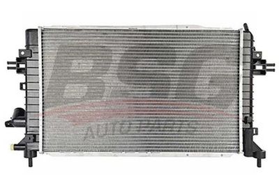 BSG BSG 65-520-024 Кришка радіатора 