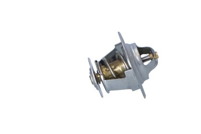 TERMOSTAT LICHID RACIRE NRF 725036 36