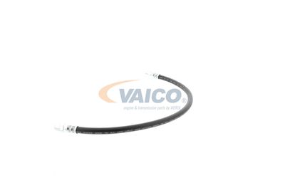 FURTUN FRANA VAICO V309926 27