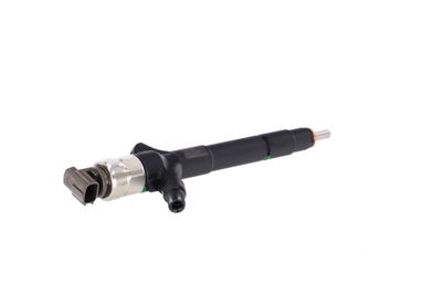 INJECTOR REMANTE 002003000085R 36