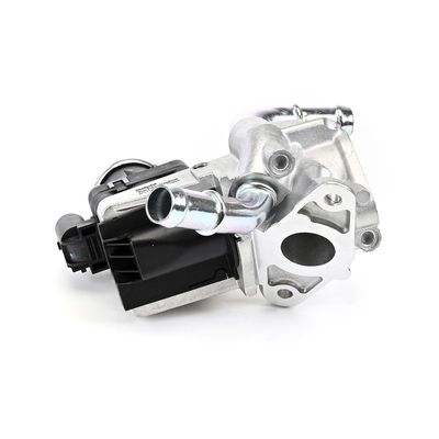 AGR-VENTIL DELPHI EG1043812B1 25