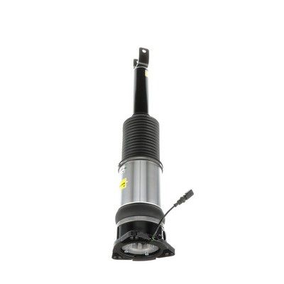 LUFTFEDERBEIN Arnott AS2966 58