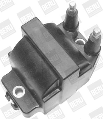 BorgWarner (BERU) Zündspule