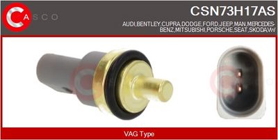 SENZOR TEMPERATURA LICHID DE RACIRE