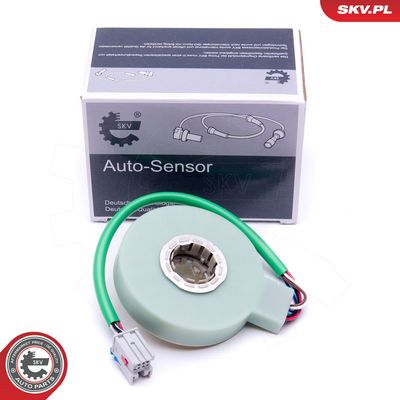 SKV-17SKV476
