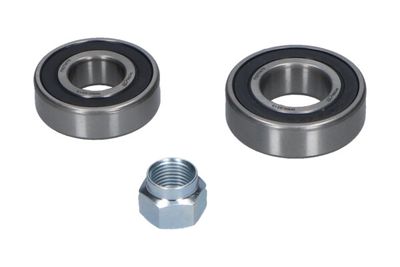 Kavo Parts Rato guolio komplektas