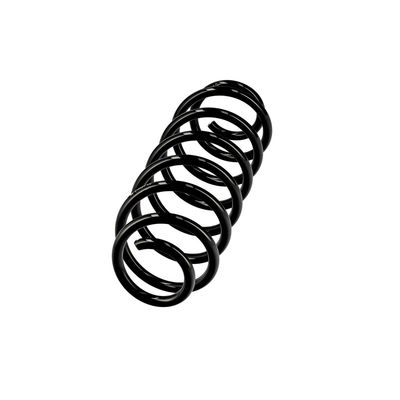 ARC SPIRAL EIBACH R10451 2