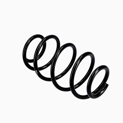 ARC SPIRAL EIBACH R10302 10