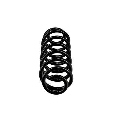 ARC SPIRAL EIBACH R10319 1