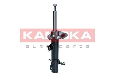 Shock Absorber 2001083