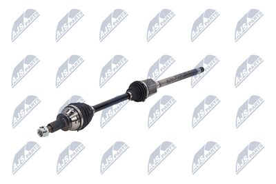 PLANETARA NTY NPWLR031 19