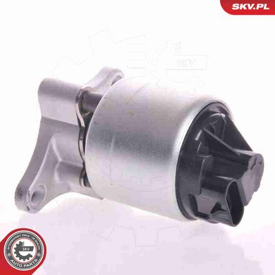 SUPAPA EGR ESEN SKV 14SKV002 2