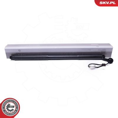 Elektromotor, zadní dveře ESEN SKV 52SKV969