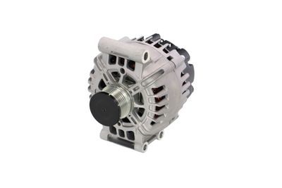 GENERATOR / ALTERNATOR REMANTE 011003000095R 65