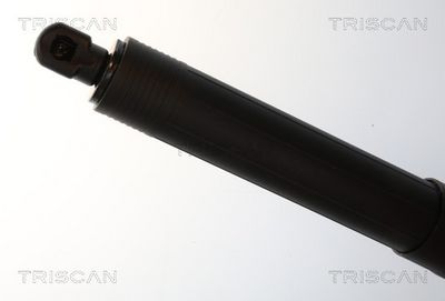 AMORTIZOR PORTBAGAJ TRISCAN 871025303 3