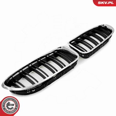 GRILA RADIATOR ESEN SKV 66SKV208 2