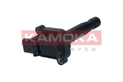 Ignition Coil 7120051
