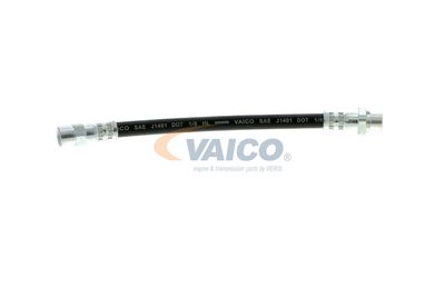 FURTUN FRANA VAICO V204112 49