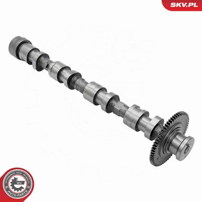 AX CU CAME ESEN SKV 80SKV064 1