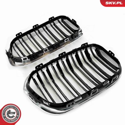 GRILA RADIATOR ESEN SKV 66SKV023 3