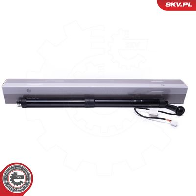 Galinių durų elektros variklis