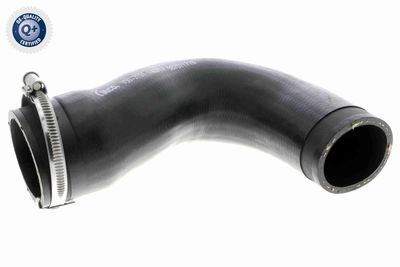 FURTUN EAR SUPRAALIMENTARE