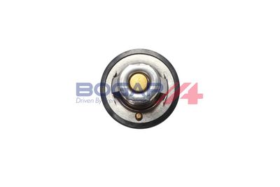 TERMOSTAT LICHID RACIRE BOGAP Y4245103 3