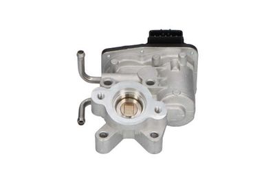 SUPAPA EGR Kavo Parts EEG8003 4