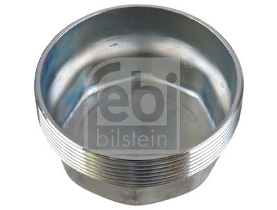Wielnaafdeksel M105x3 (wieldop) past: BPW