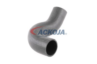 FURTUN EAR SUPRAALIMENTARE ACKOJA A380298 49