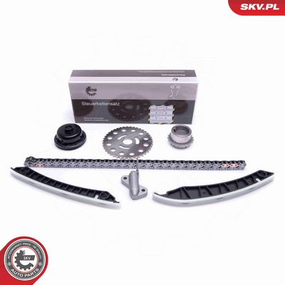 CHIT LANT DE DISTRIBUTIE ESEN SKV 21SKV193