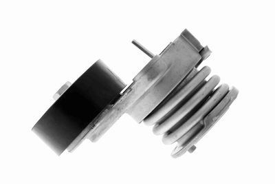 INTINZATOR CUREA CUREA DISTRIBUTIE