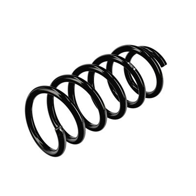 ARC SPIRAL EIBACH R10978 16