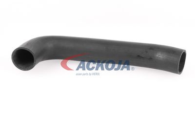 FURTUN EAR SUPRAALIMENTARE ACKOJA A379602 13