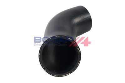 FURTUN EAR SUPRAALIMENTARE BOGAP V1711110 3