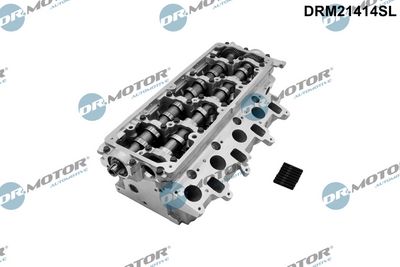Dr.Motor Automotive Cilindro galvutė